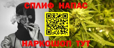 spice Новозыбков