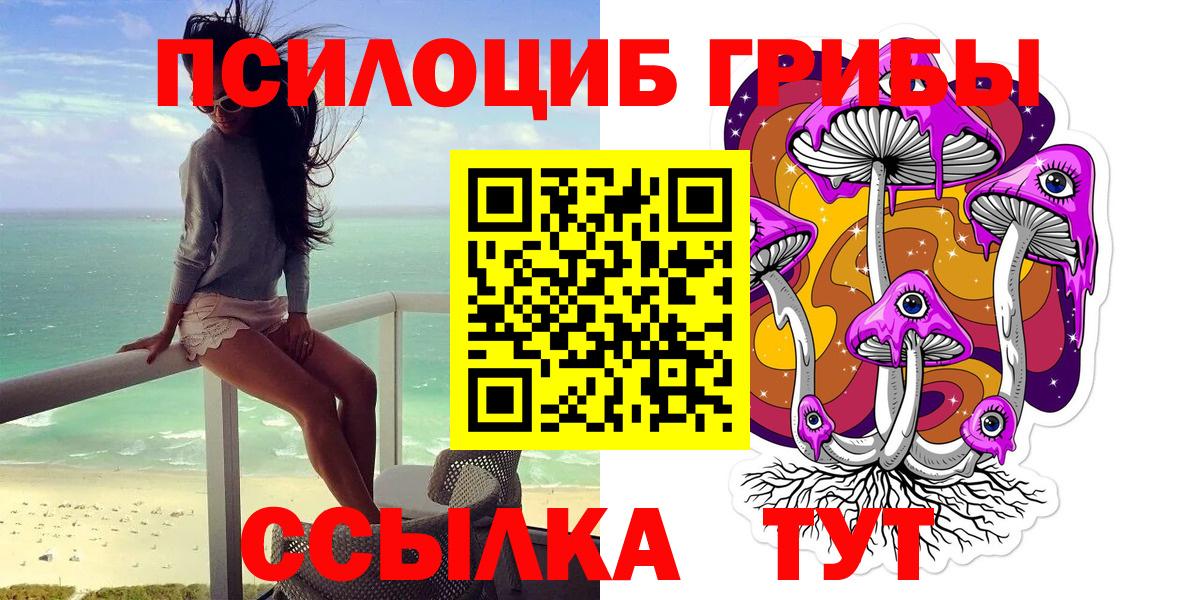 Галлюциногенные грибы Psilocybe  Вход с VPN  Стрежевой  Галлюциногенные грибы Psilocybine cubensis 