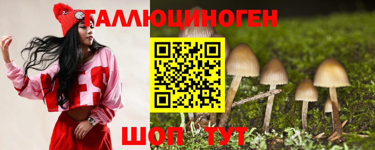 Галлюциногенные грибы Cubensis Стрежевой